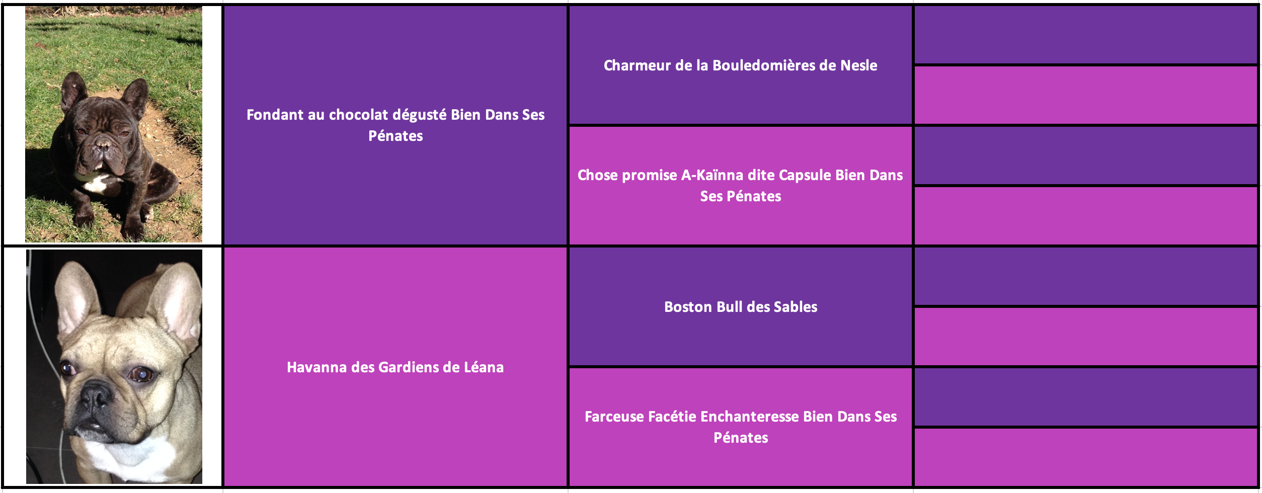 Janna des Gardiens de Léana