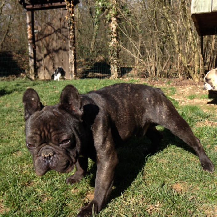 chocolat des gardiens de léana