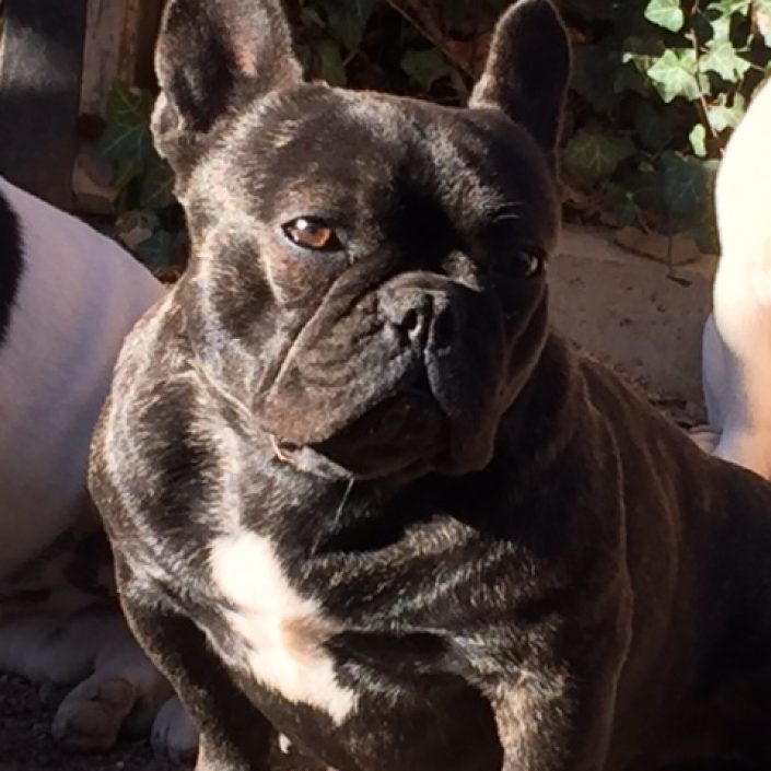 Janna des Gardiens de Léana