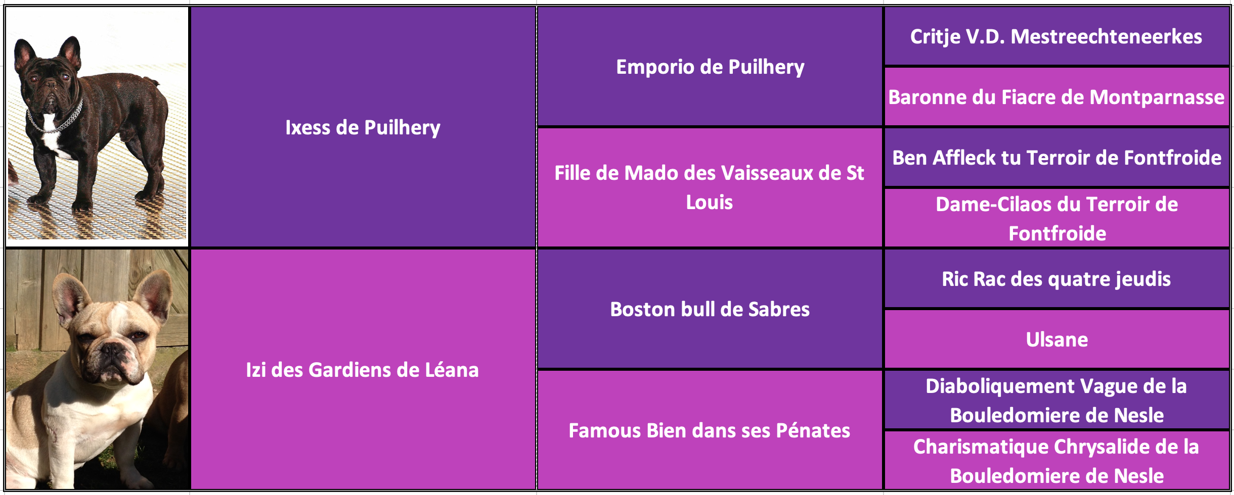 Pedigree lolita des gardiens de Léana