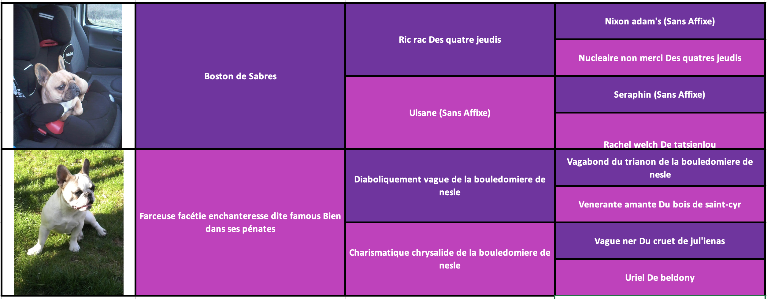 Izi des gardiens de léana bouledigue français