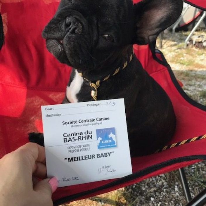 Originale Frenchy des Gardiens de Leana