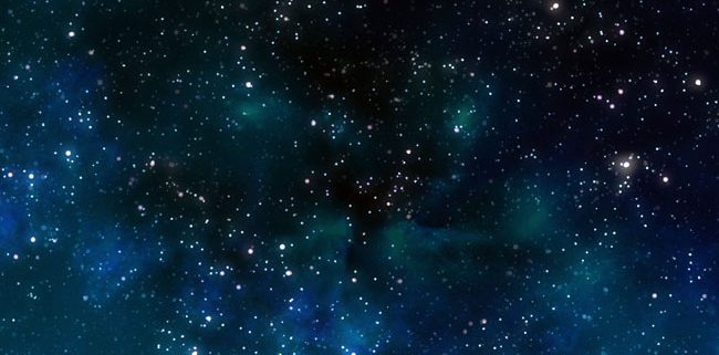 fond d'écran chiot bouledogue